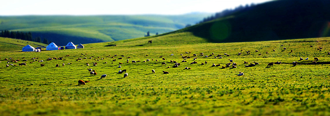 Xinjiang Overland Tour To Kazakhstan