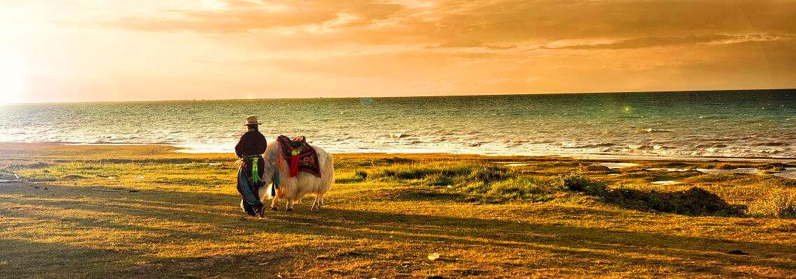 Qinghai Essence Tour