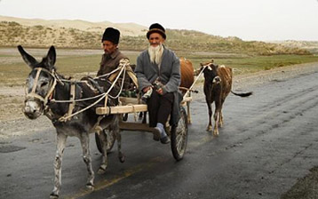 12 Days Southern Xinjiang Adventure