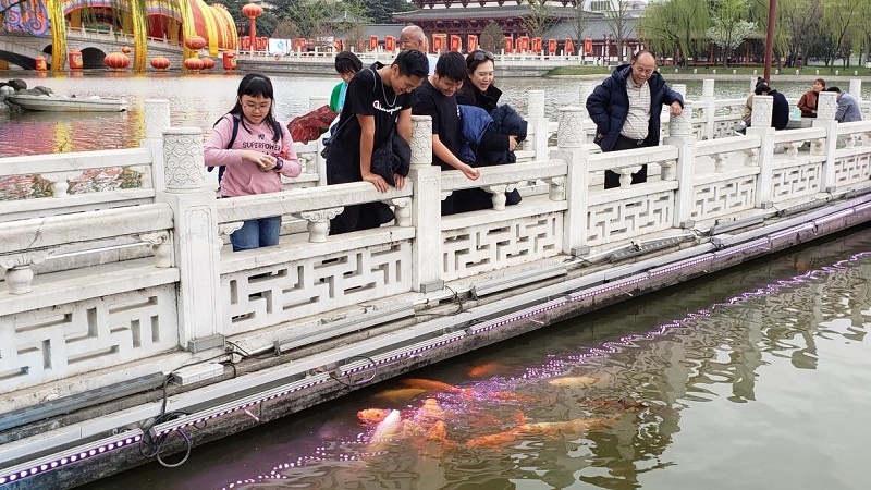 Xian Huaqing Hot Spring