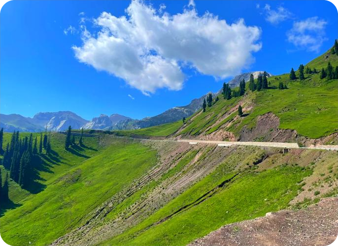 伊昭公路 伊昭公路