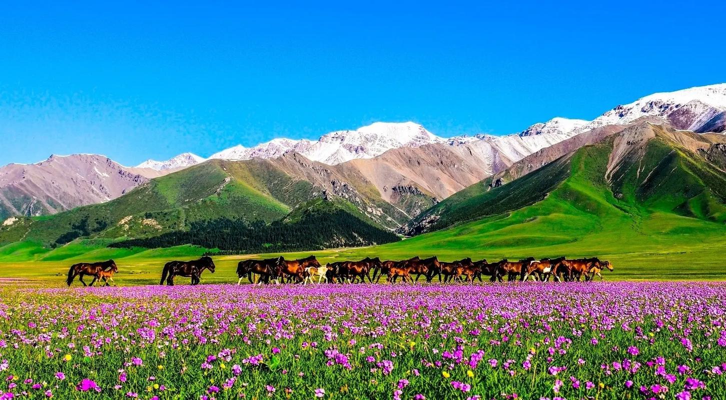 喀拉峻大草原 喀拉峻大草原