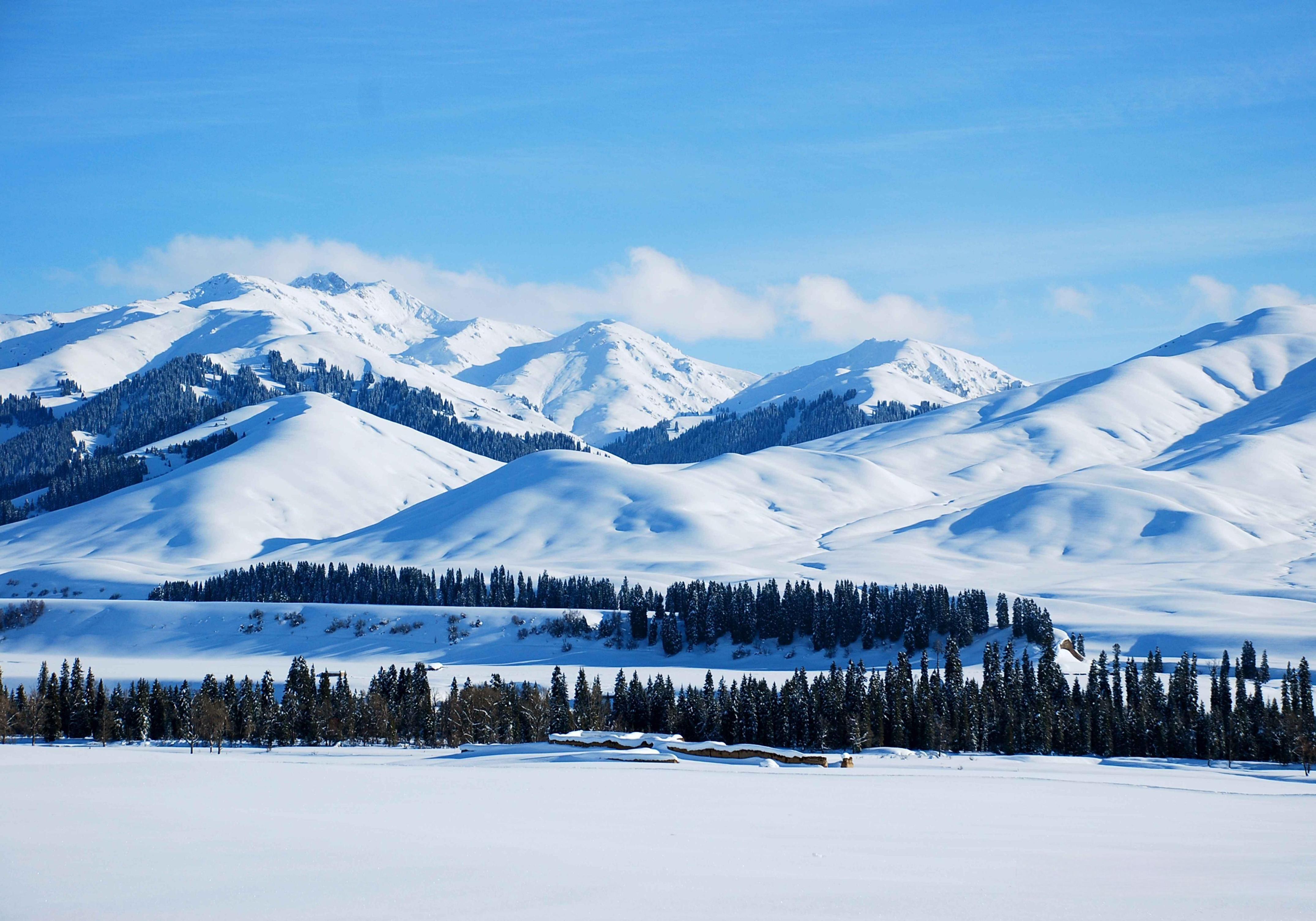 687db474de83c.jpg 687db474de83c.jpg